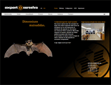 Tablet Screenshot of expert-surselva.ch